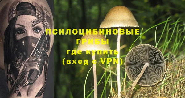 прущая мука Верхний Тагил