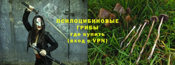 стафф Верея