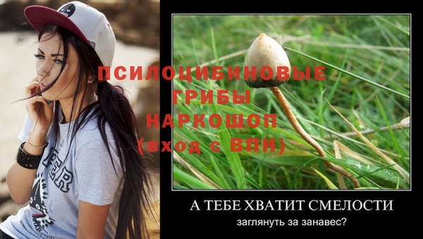 дурь Верхнеуральск