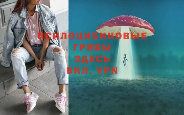 прущая мука Верхний Тагил