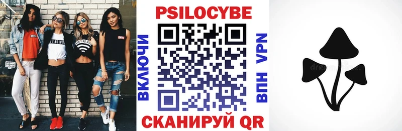 mega как зайти  Весьегонск  Галлюциногенные грибы Psilocybine cubensis 