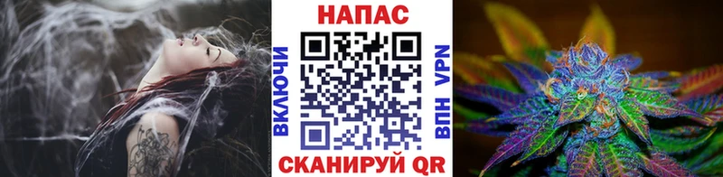 Шишки марихуана конопля mega tor Весьегонск